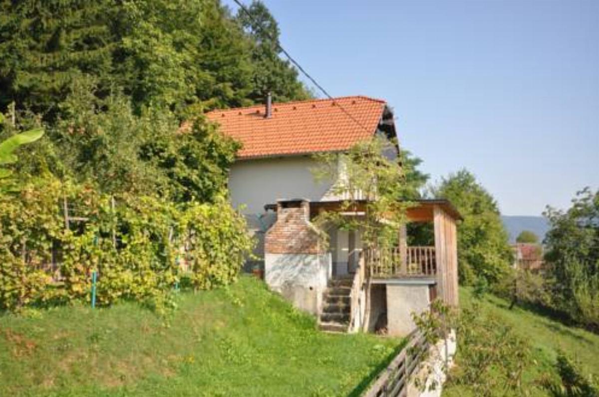 Vineyard Cottage Krstinc Hotel Straža Slovenia