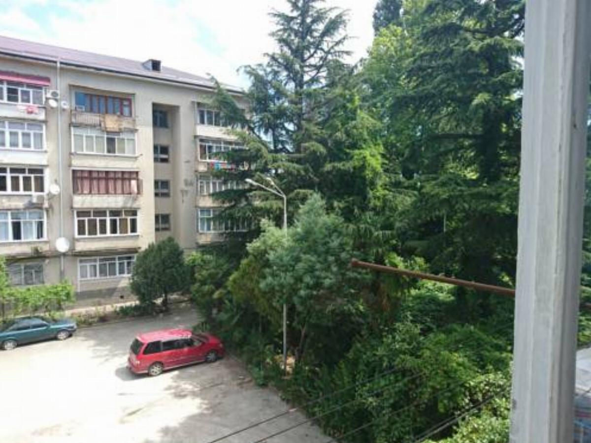 Квартира под сдачу Hotel Gagra Abkhazia