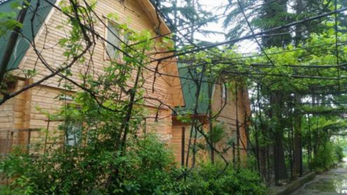 Отдельный домик в Гаграх Hotel Gagra Abkhazia