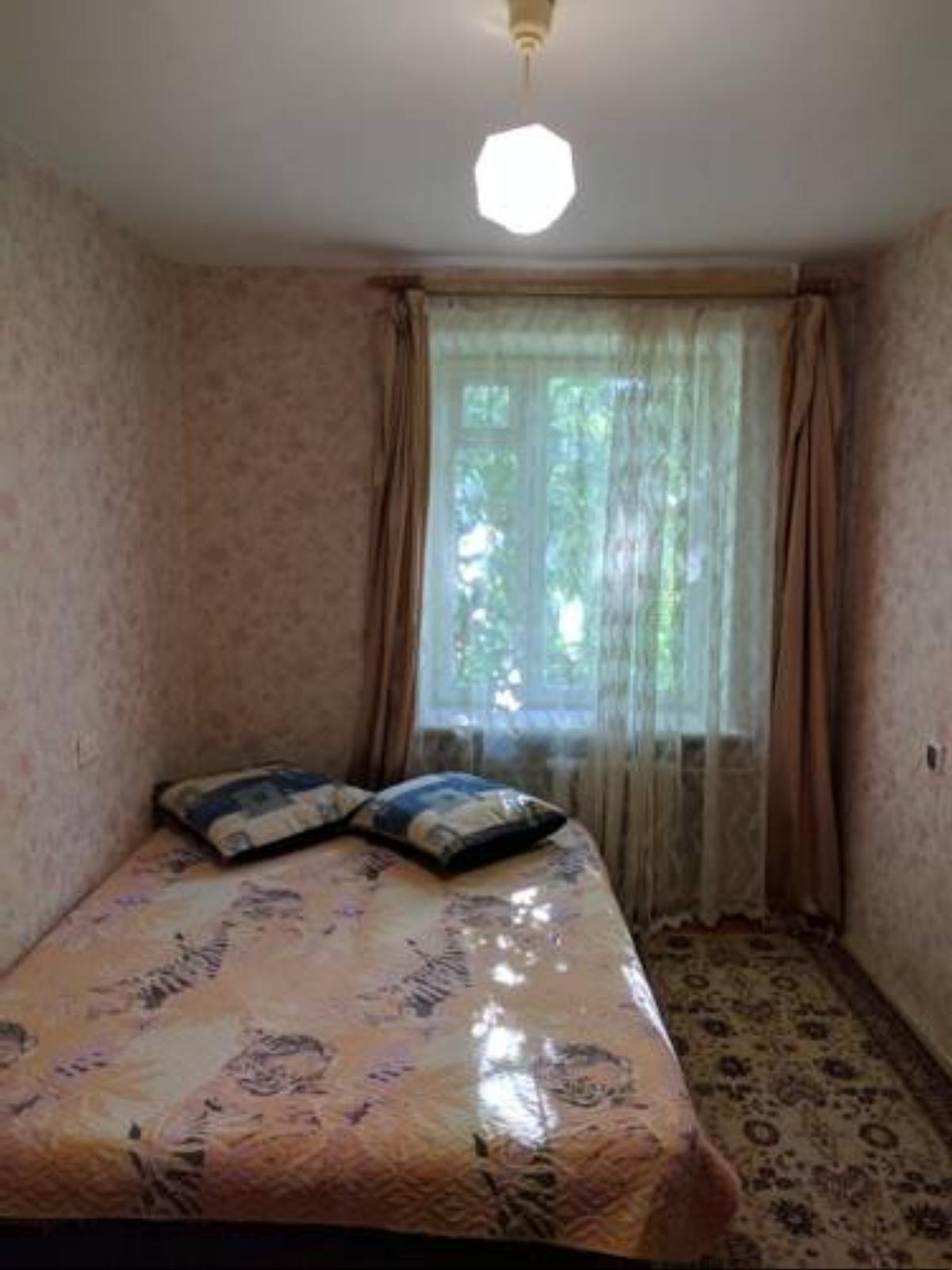 Квартира на Шишкова Hotel Gor'kogo Russia