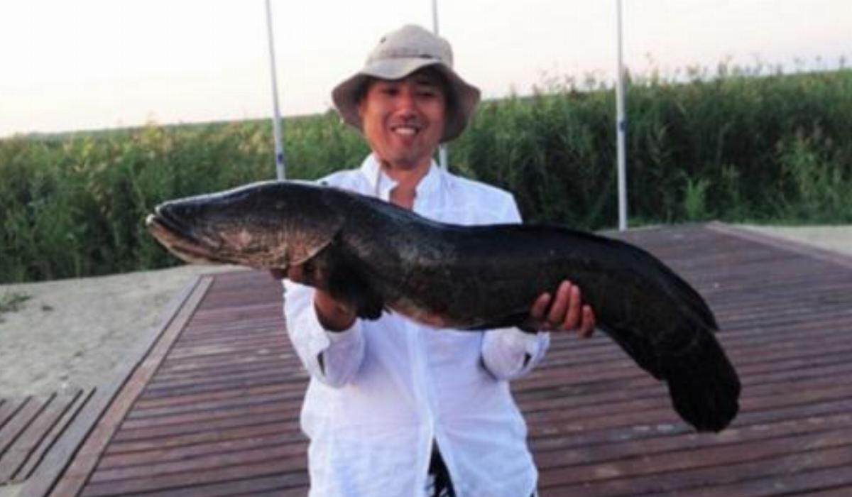 Маяк - Рыбалка на Балхаше Hotel Kokkol Kazakhstan