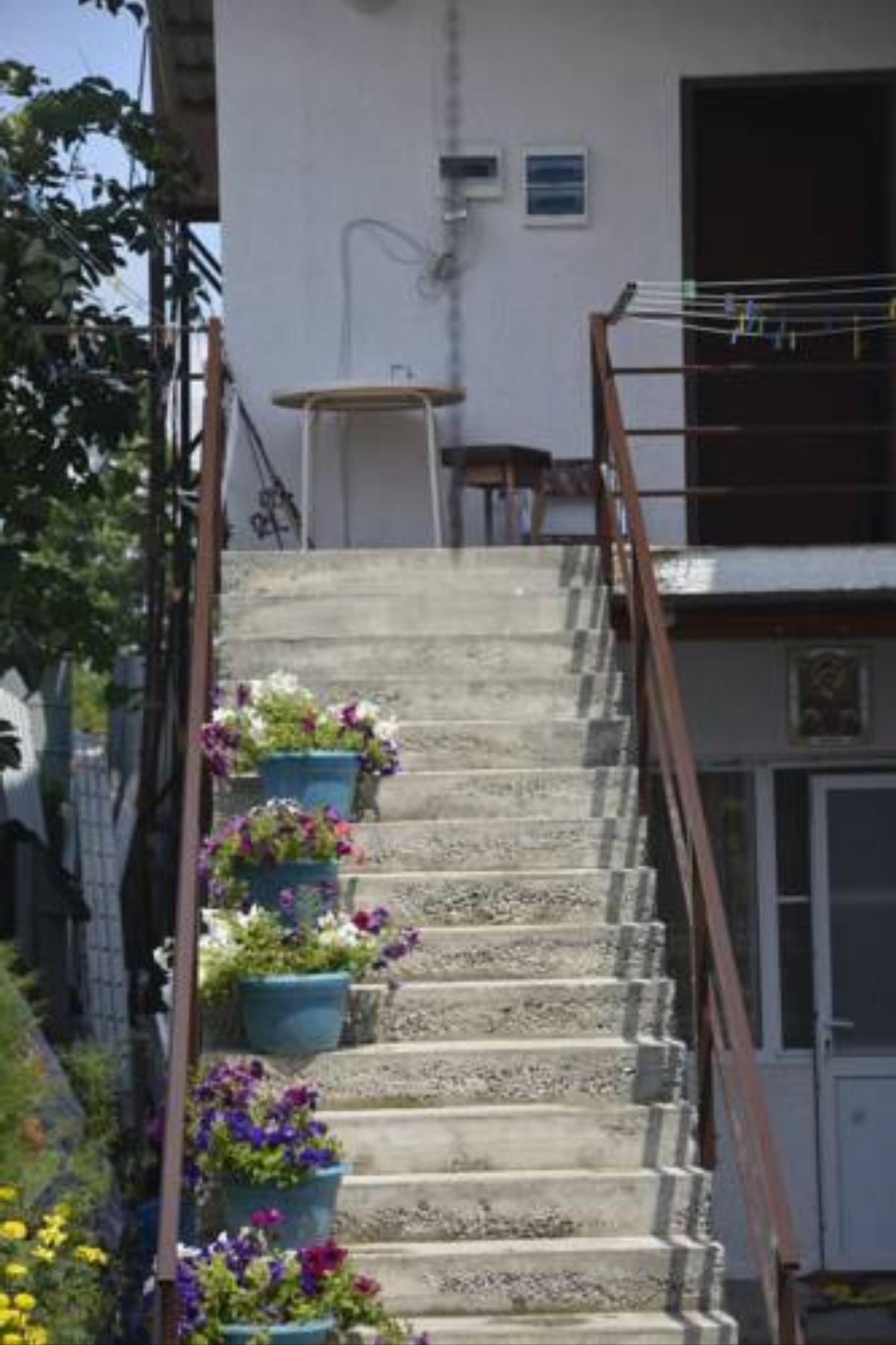 Гостевой дом у Нины Hotel Leselidze Abkhazia