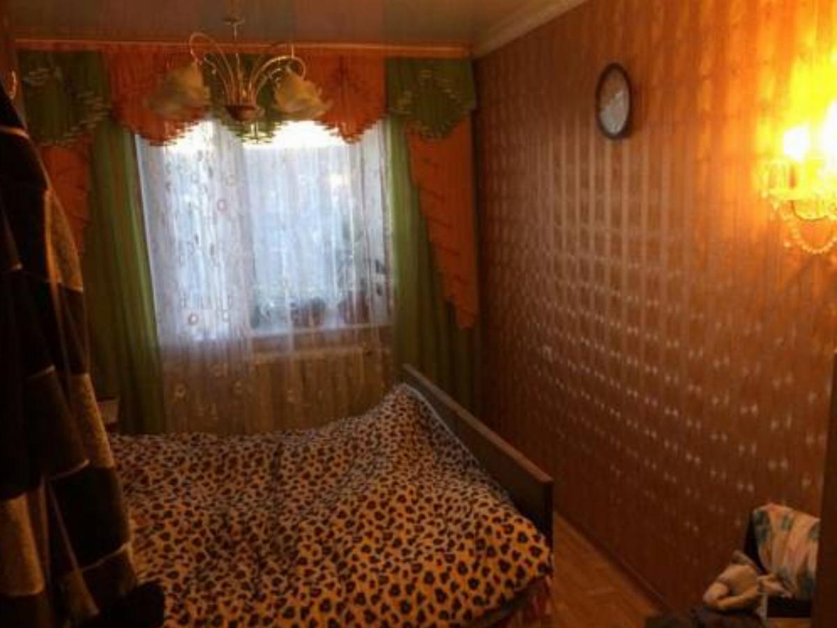 Apartment on Emelyanova