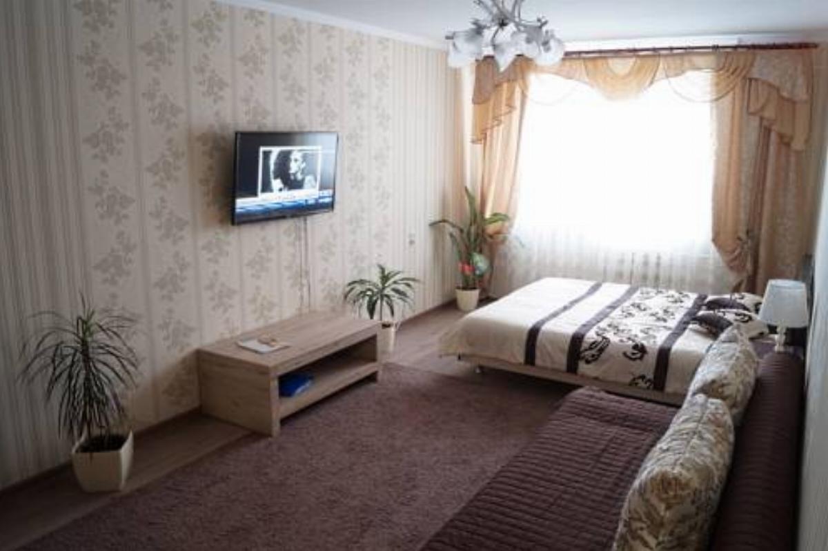 Apartment in Borovlyany