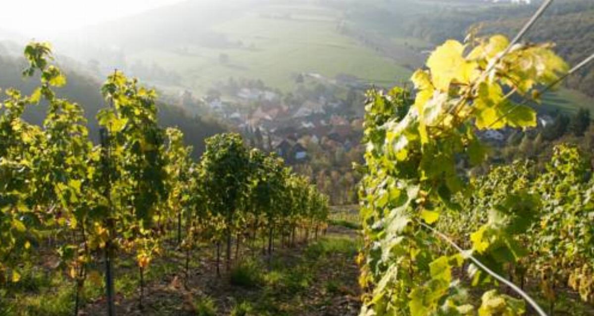 Weingut Hees - Landgasthof Zum Jäger aus Kurpfalz