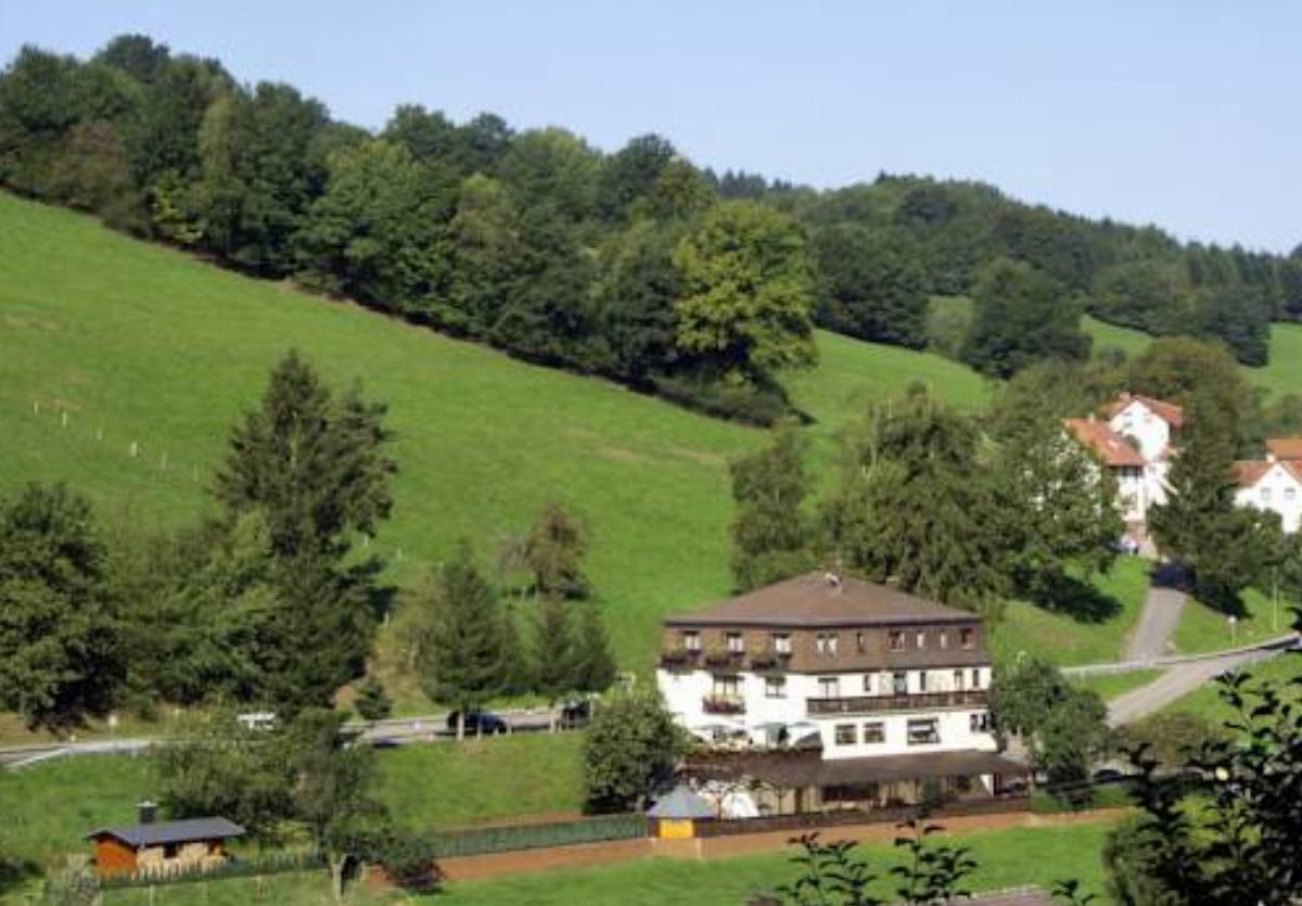 Hotel Landgasthof Grüner Baum