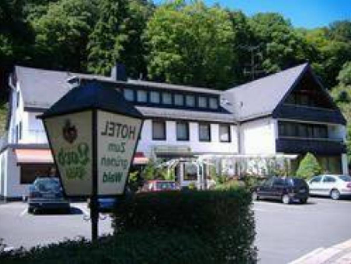 Hotel Zum grünen Wald