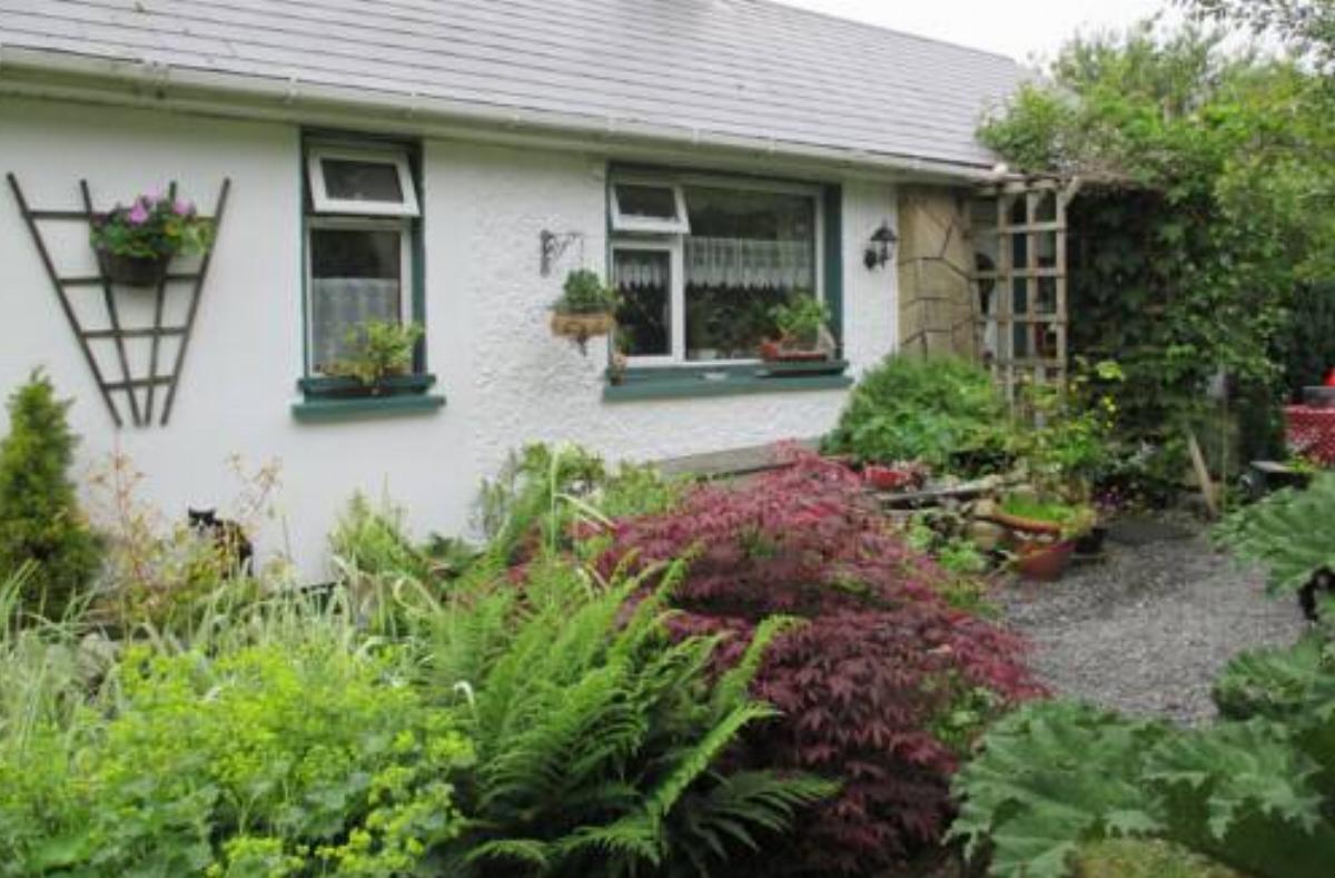 Willow Cottage Donegal B&B