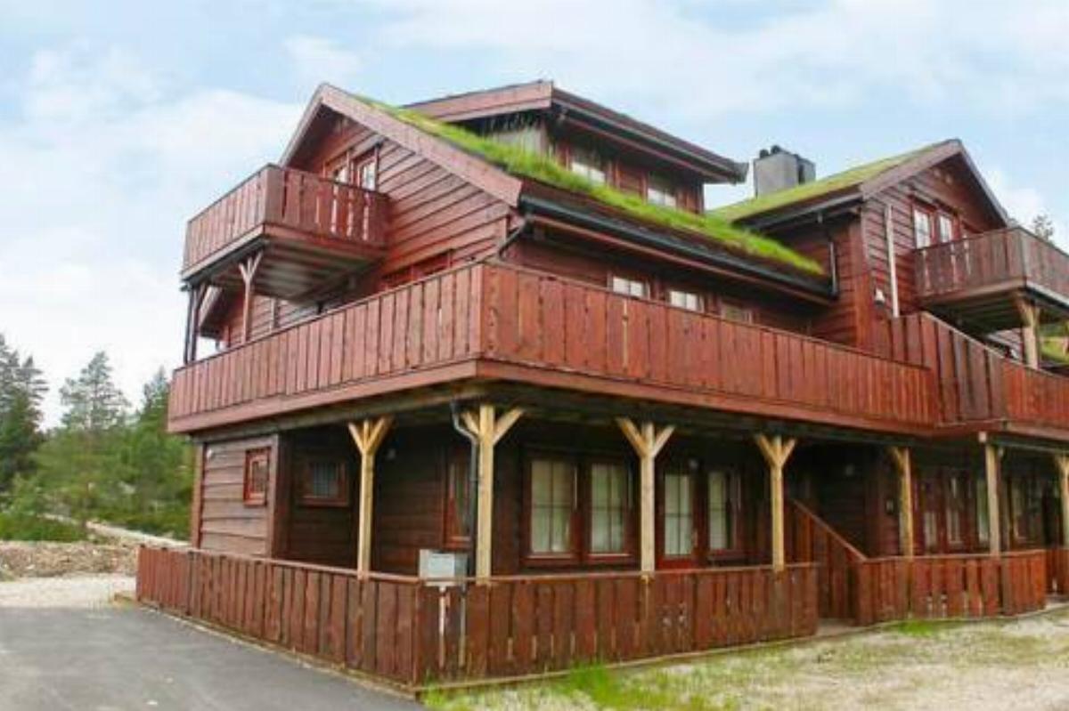 Three-Bedroom Holiday home in Åseral 1