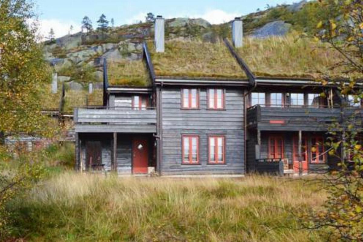 Two-Bedroom Holiday home in Åseral 2