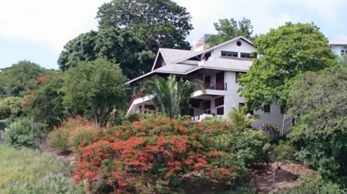 The Nest Tobago Apartments