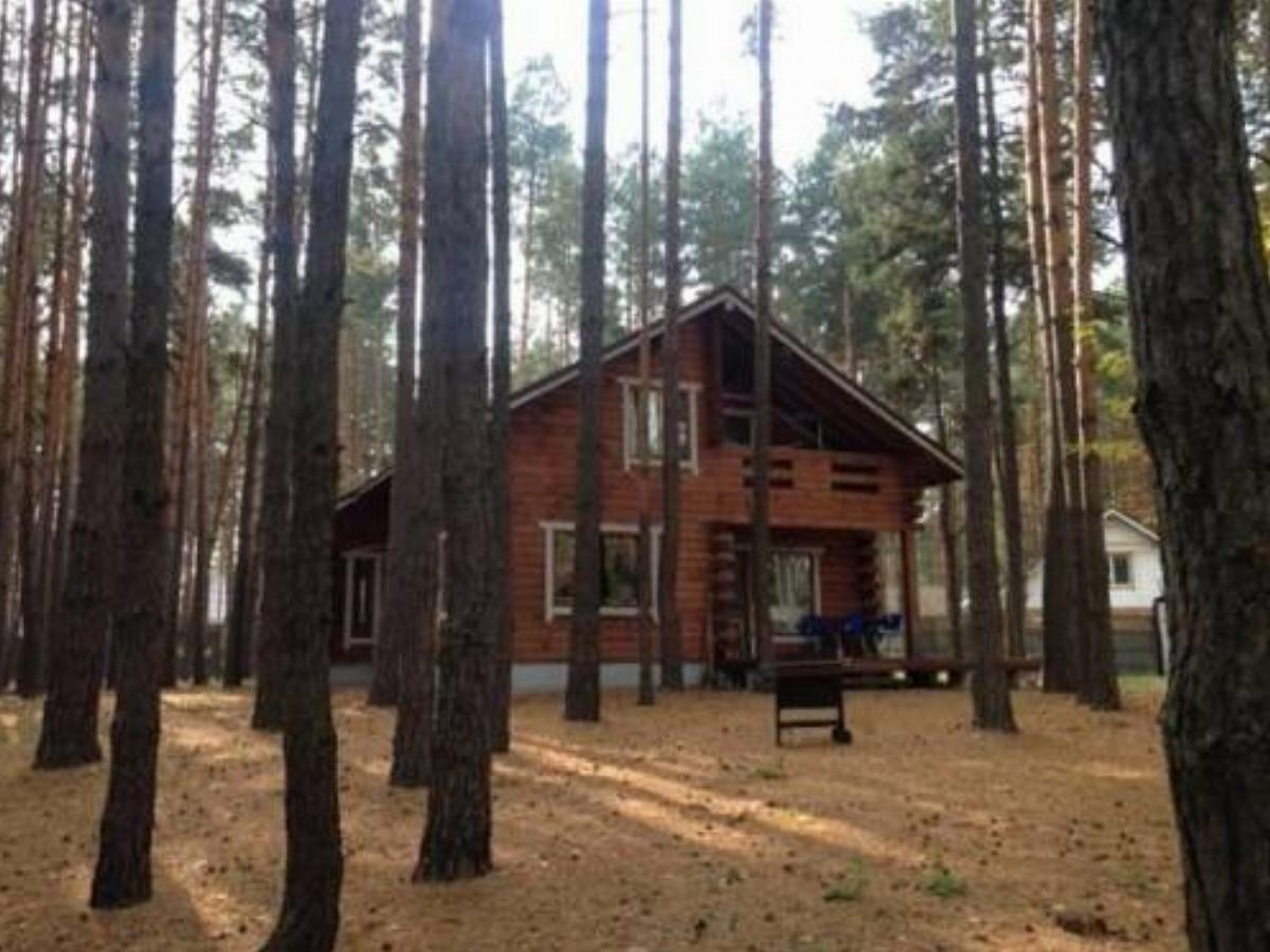 Wooden cottage in Lesnaya Skazka
