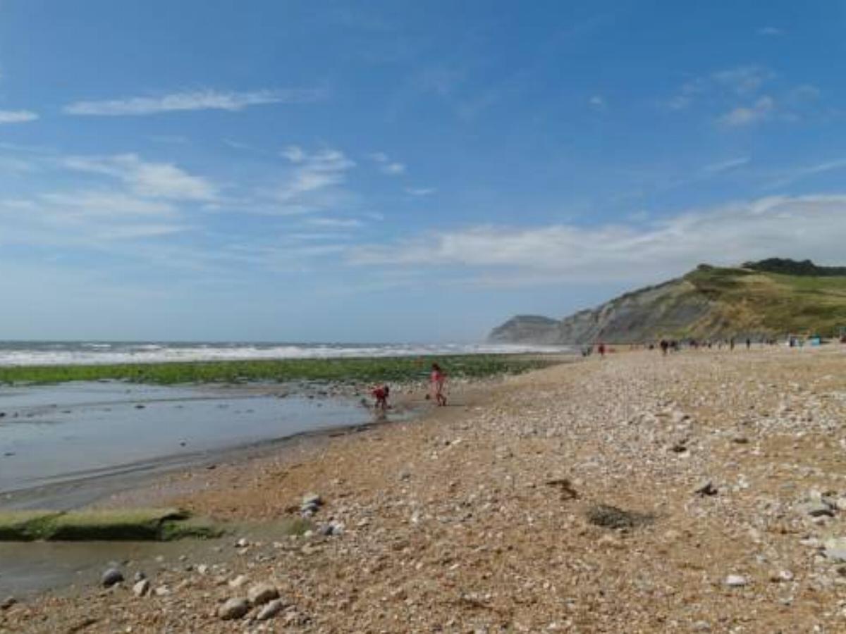 Pippin, Charmouth