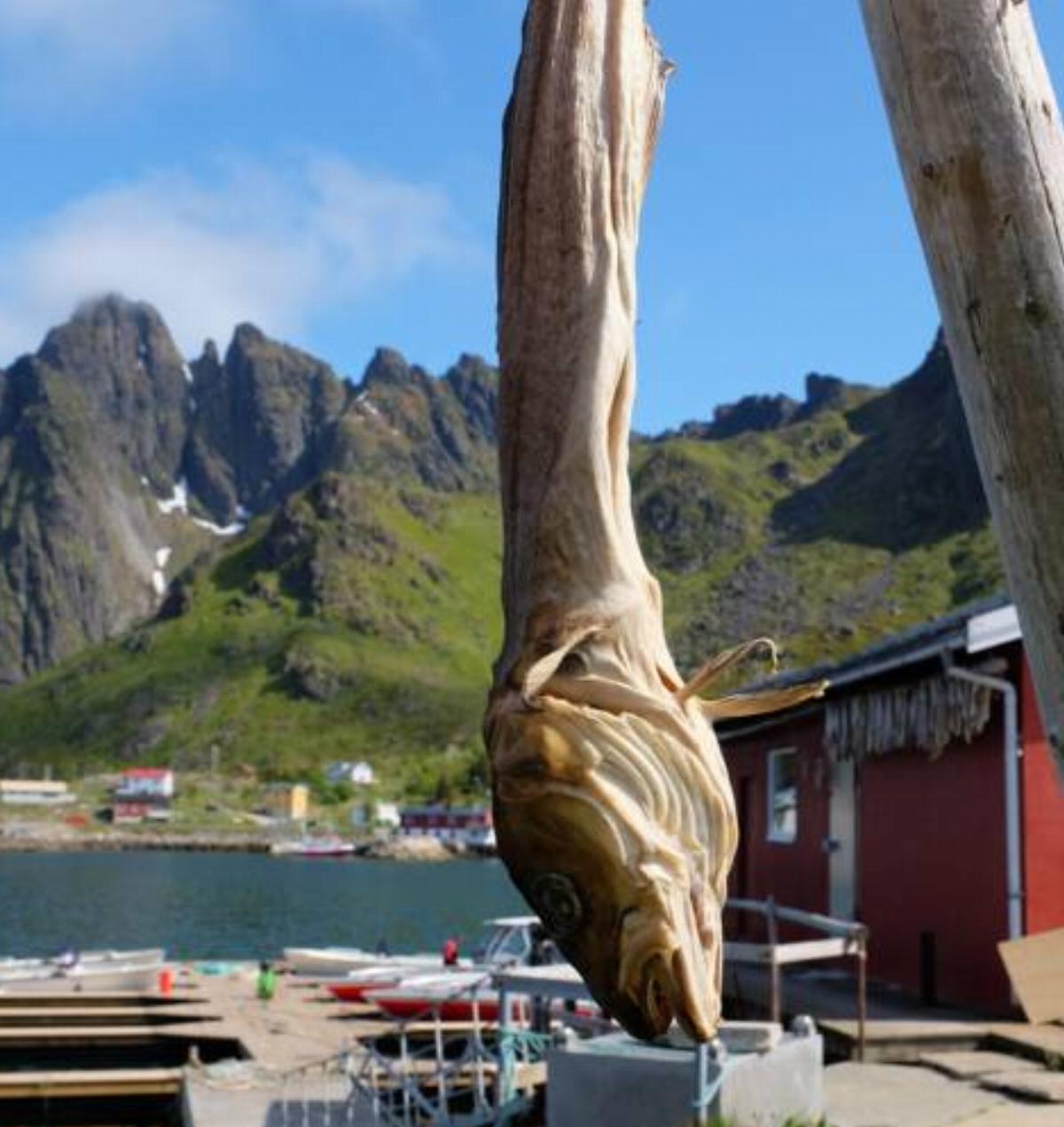 Hemmingodden Lofoten Fishing Lodge