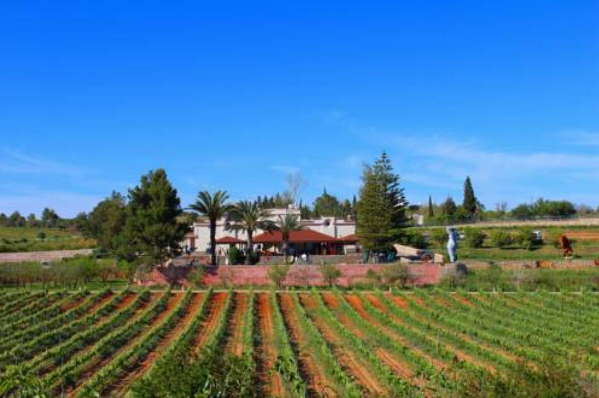 Quinta dos Vales Wine Estate