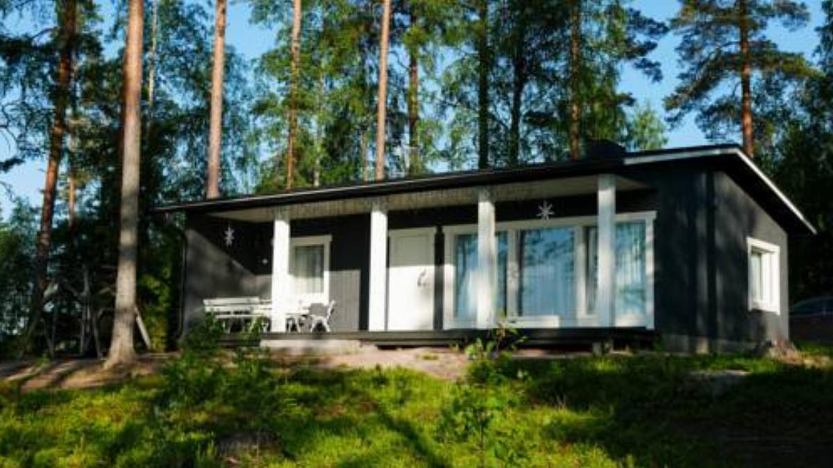 Villa Terveenniemi
