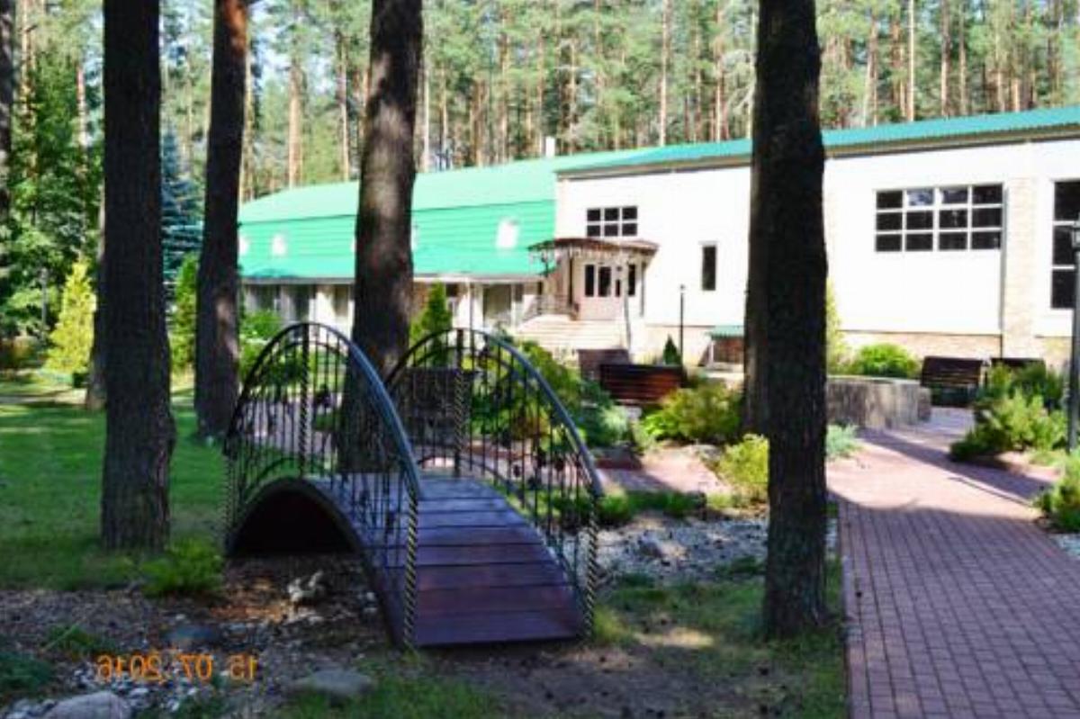 Guest House Sosnovyi Bor