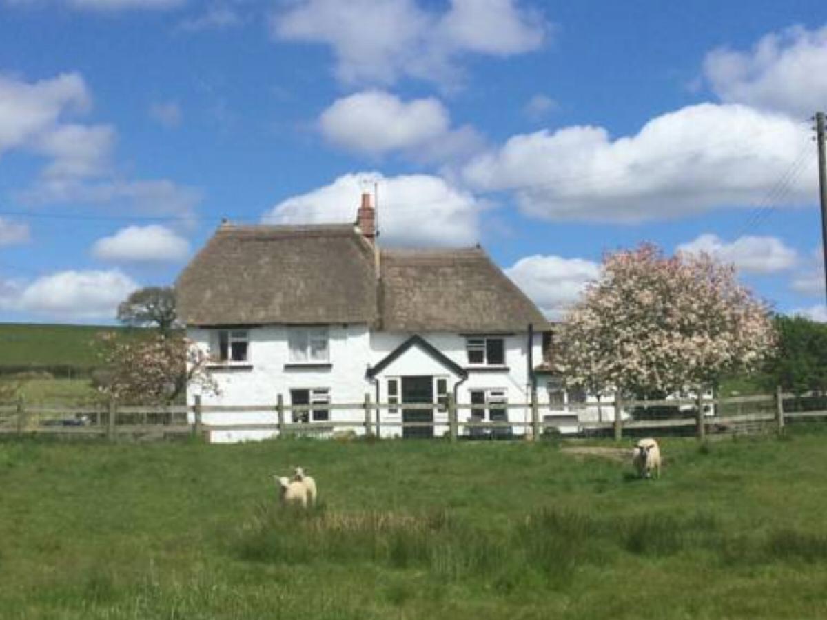 Devon thatched cottage