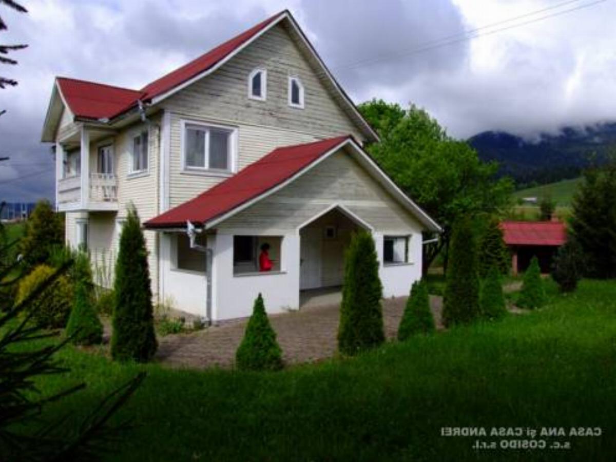 Casa Andrei Vatra Dornei