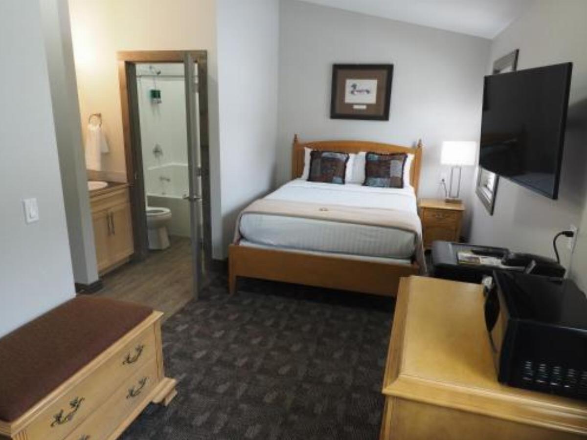 Apex Lodge Standard Room - 5 Hotel Room