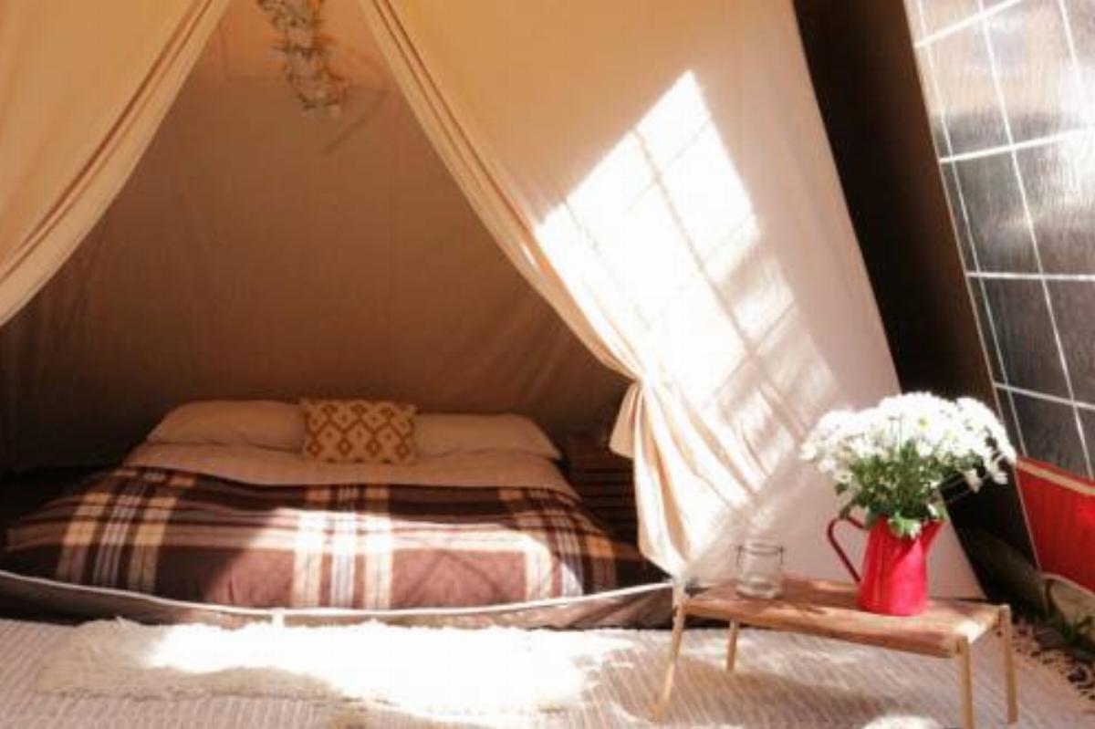 Vintage Canvas Glamping