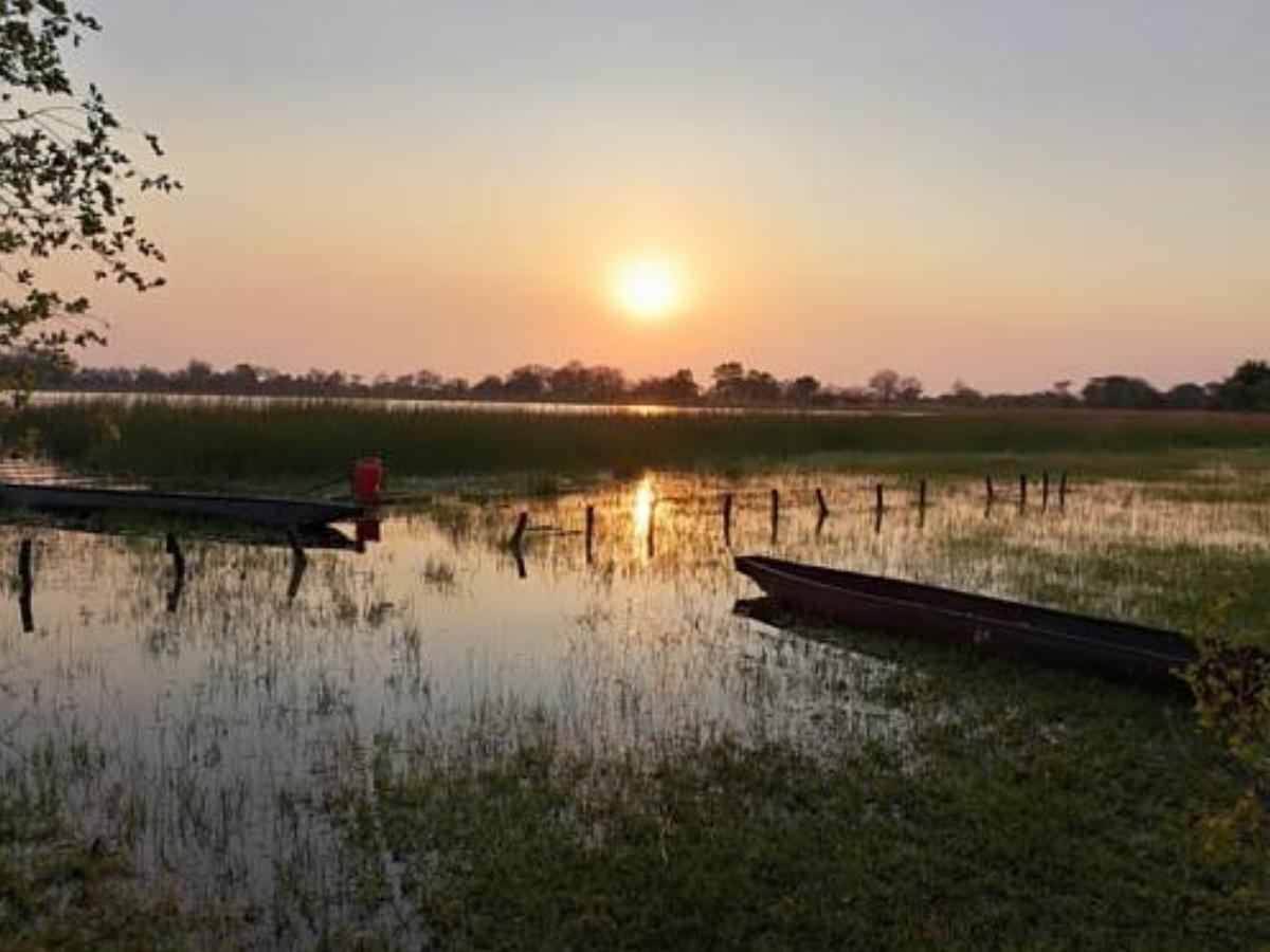 Hippo Island Okavango Delta