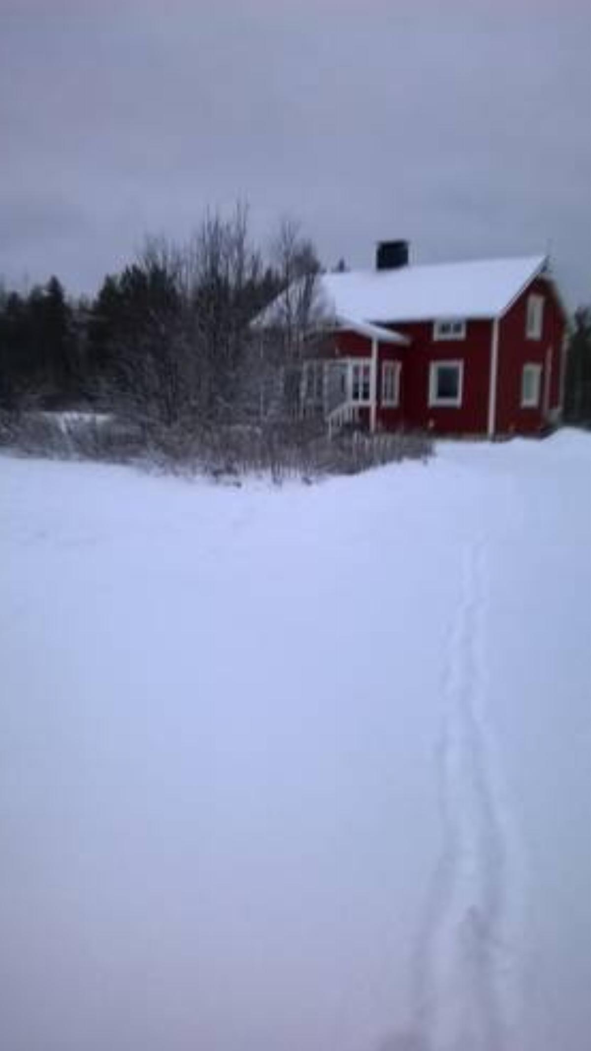 The house near Arctic Circle