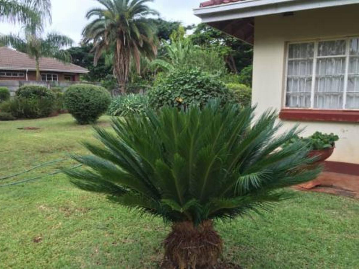 Palm villa