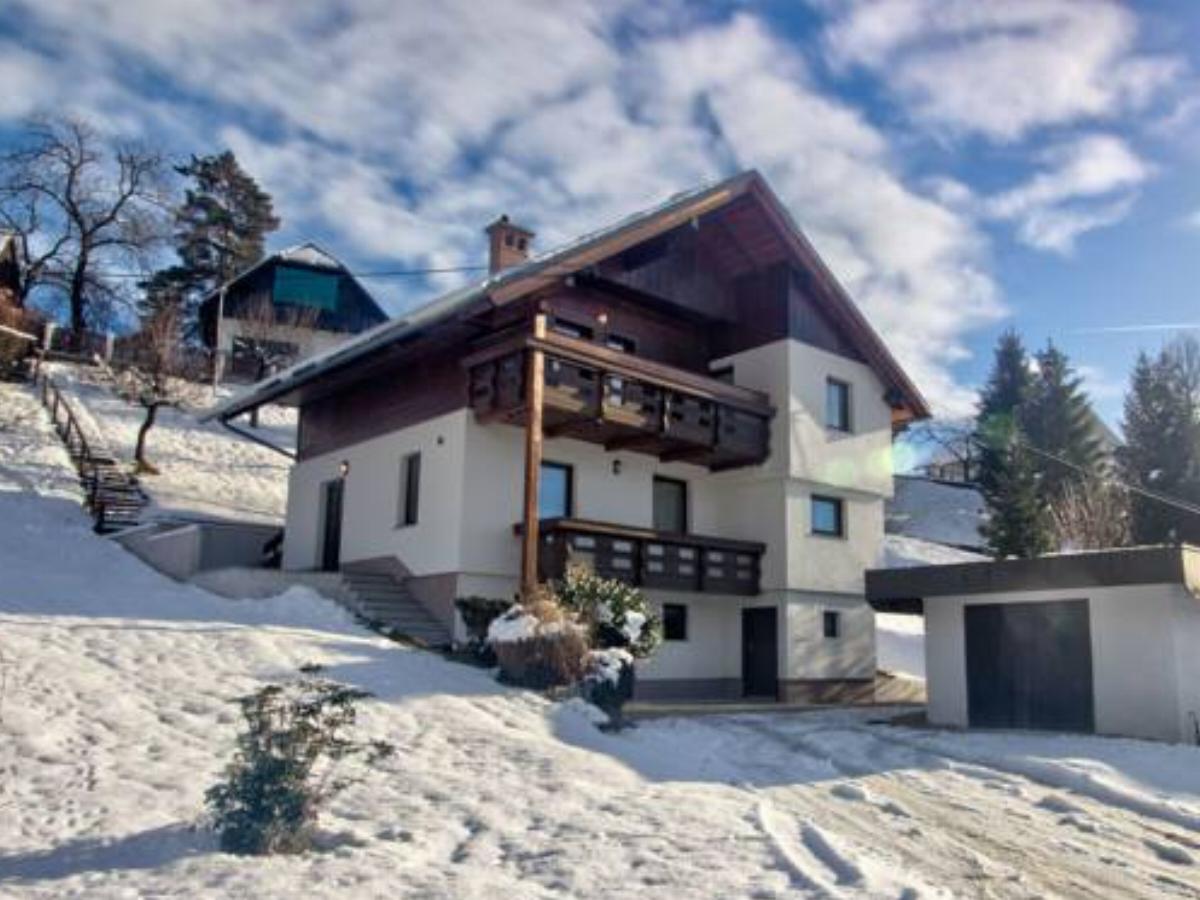 Apartments ApArt, The Alpine house Koritno Bled