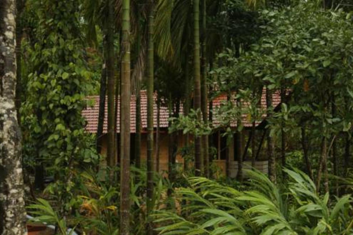 Aroha's Eco Hill Resort