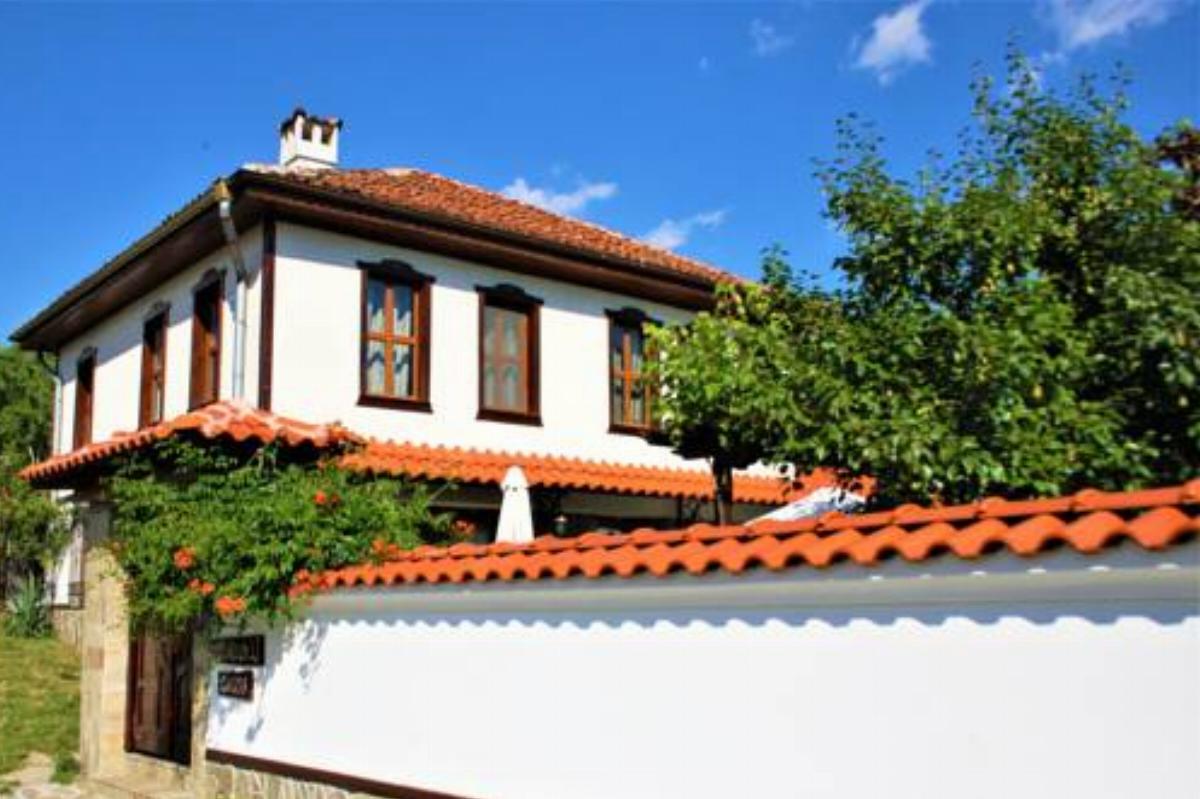 Iliikova House