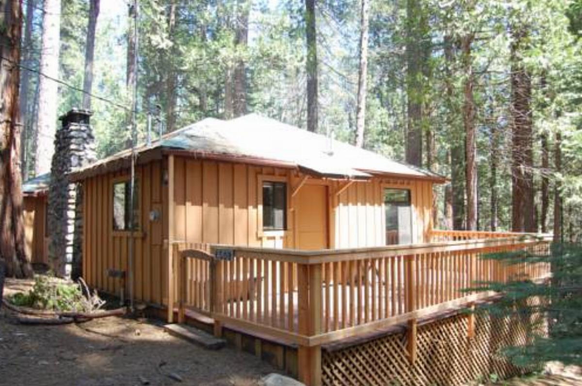 9S Pine Cabin