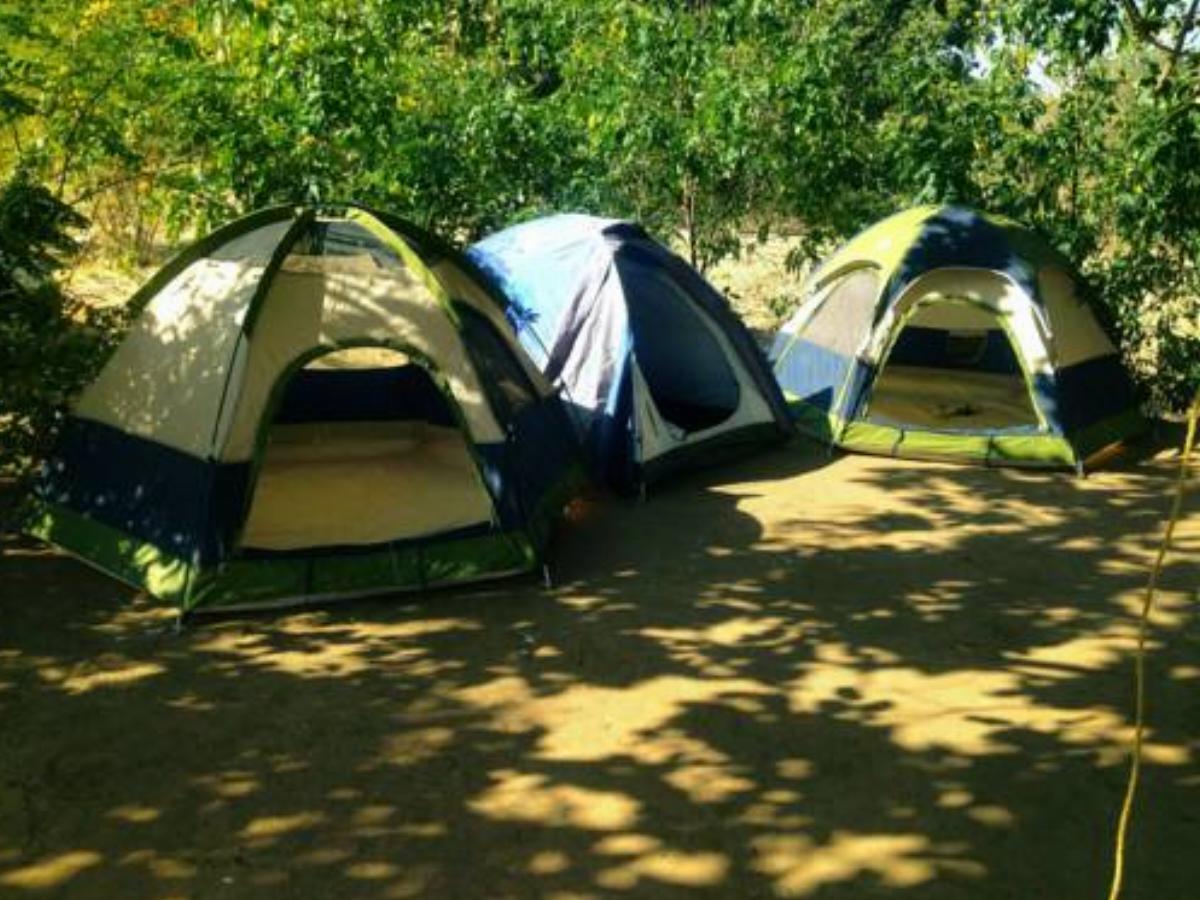 Polo Forest Nature Campsite