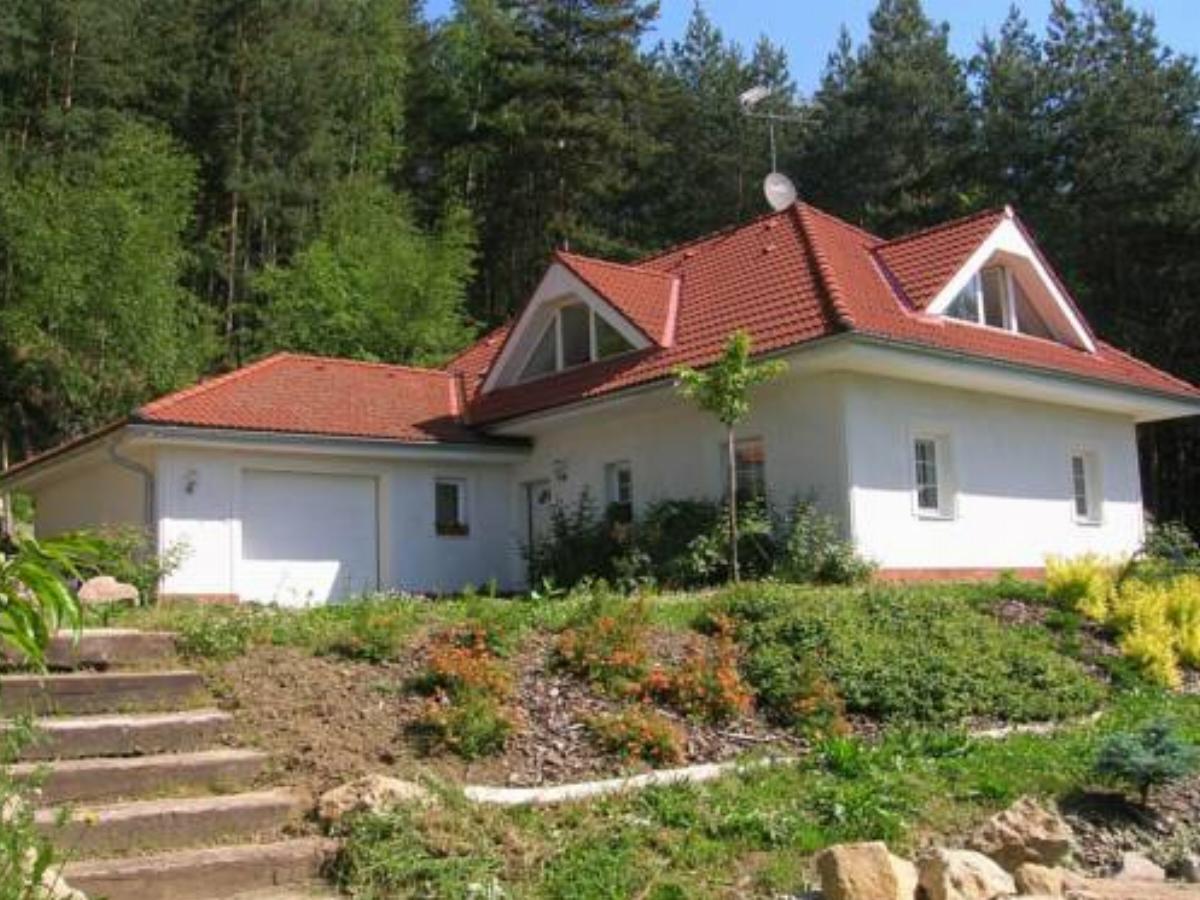 Holiday Home Borivoj