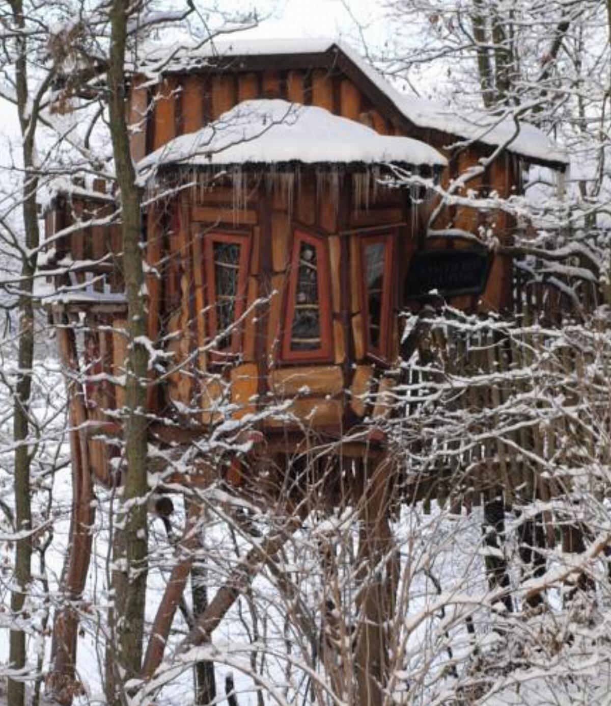 Kulturinsel Einsiedel - Wintertime Treehouse