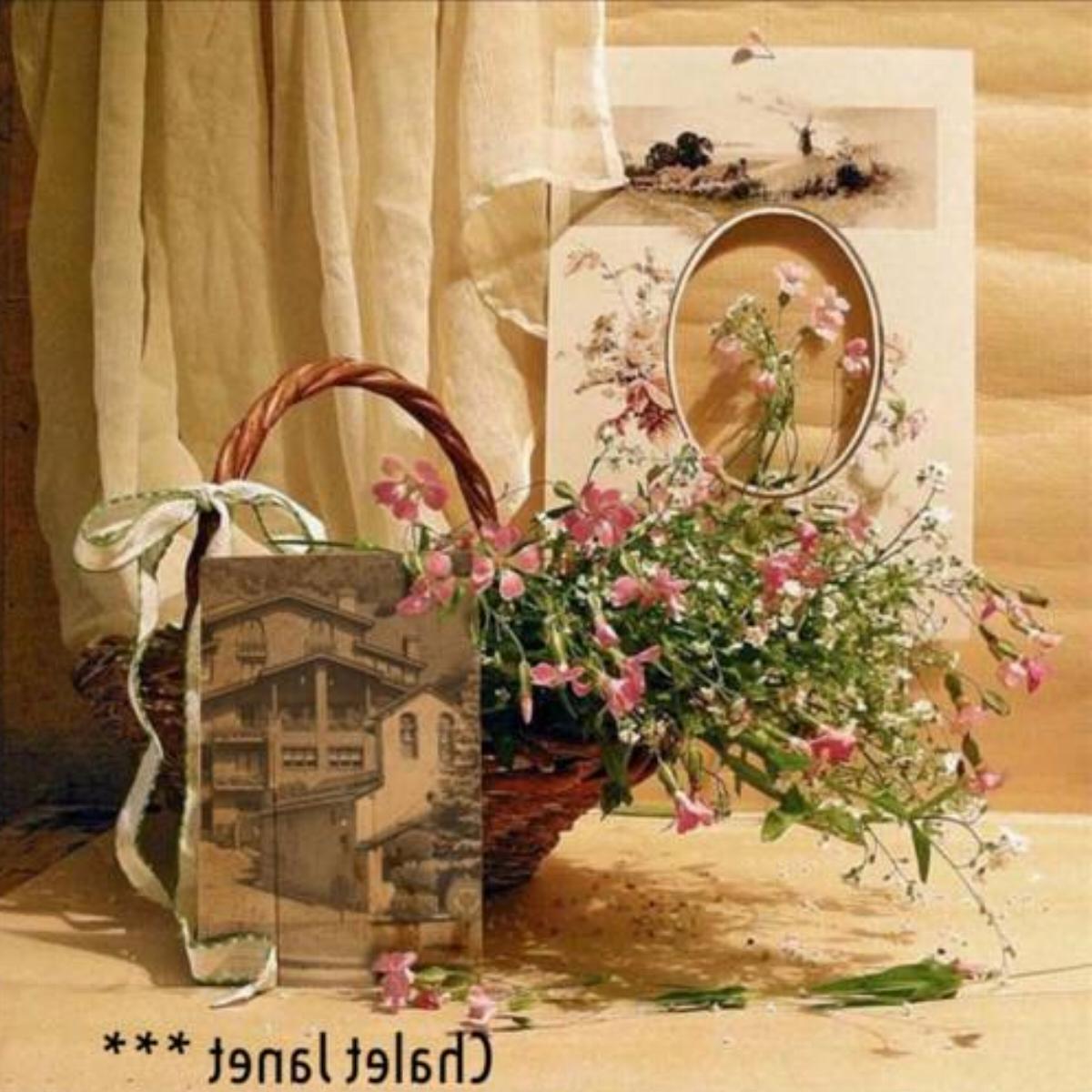Chalet Janet Erts