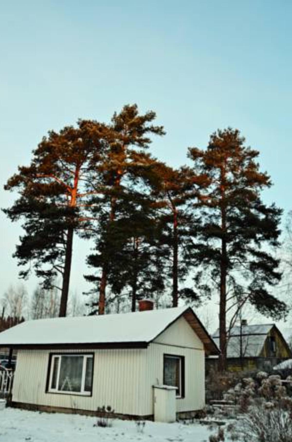 Guest House Uyut Karelii