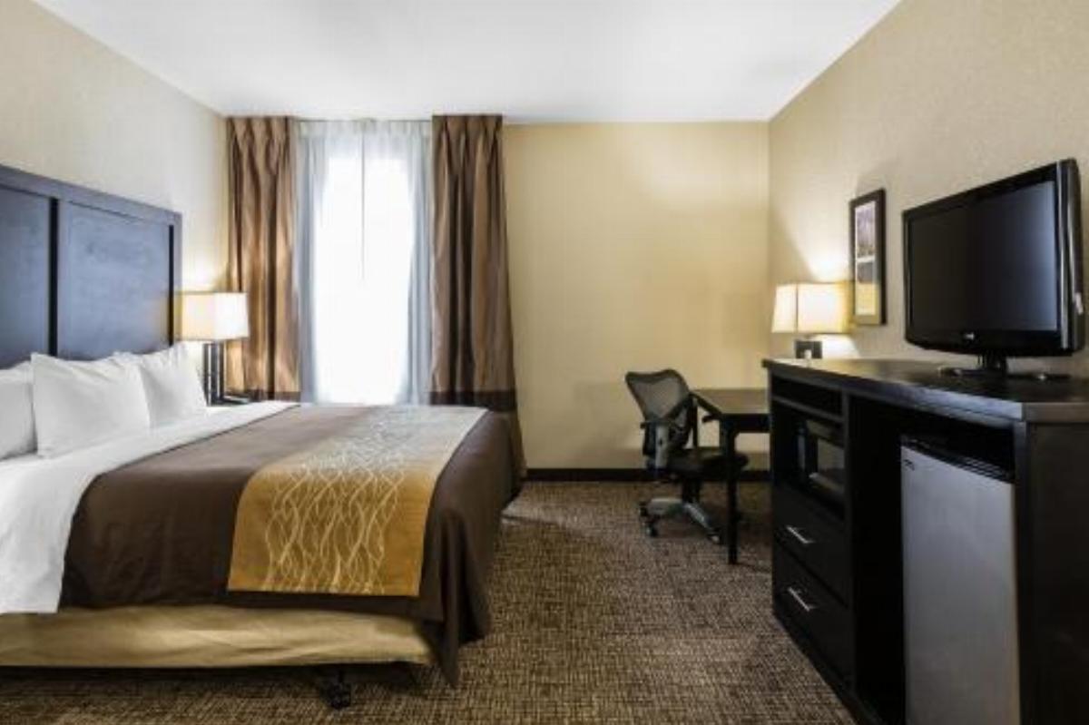 Comfort Inn & Suites Allen Park/Dearborn