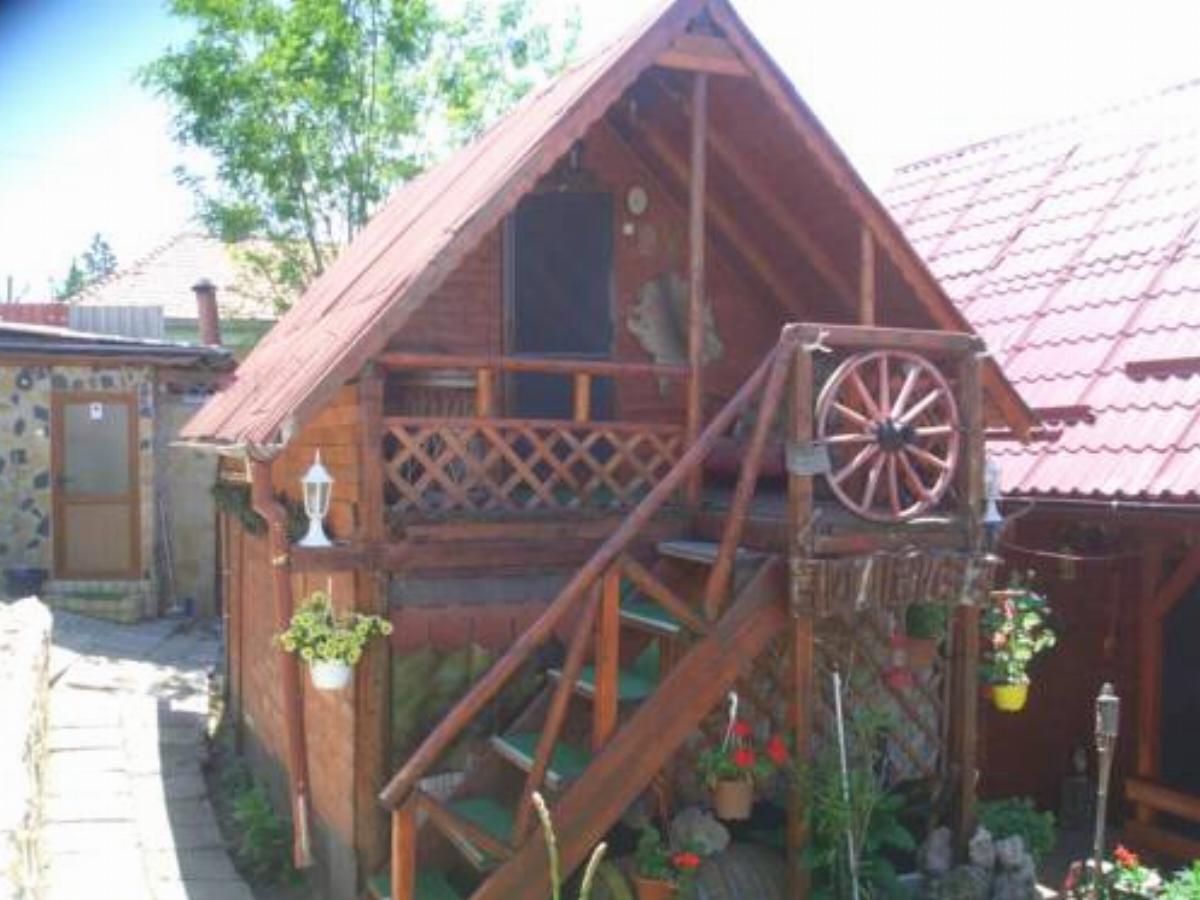Casa Vladut