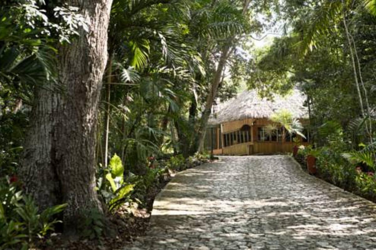 Hotel Jungle Lodge Tikal