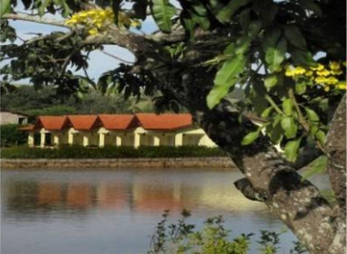 Resort Monte das Oliveiras