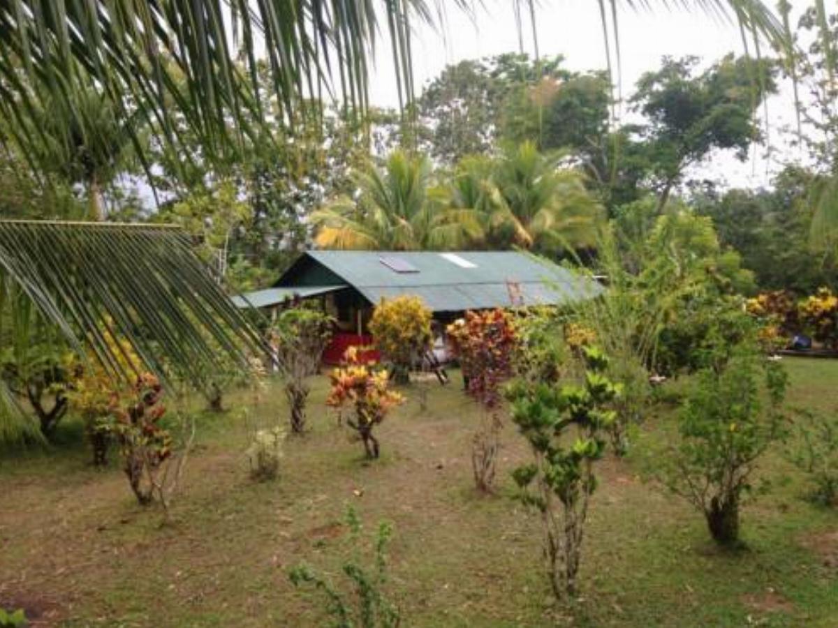 Osa Jungle Cabin