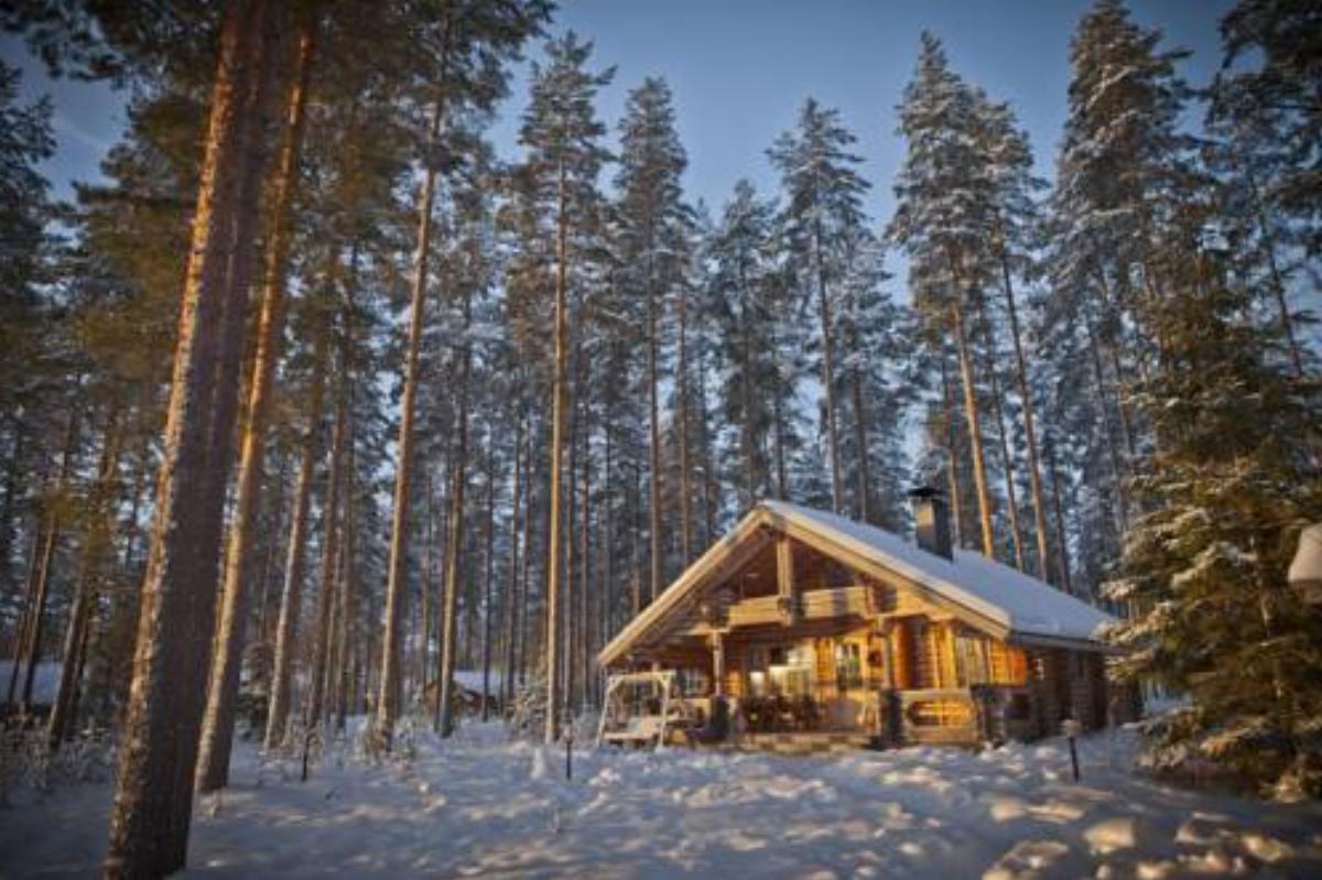 Laukkala Cottages Reindeers & Husky