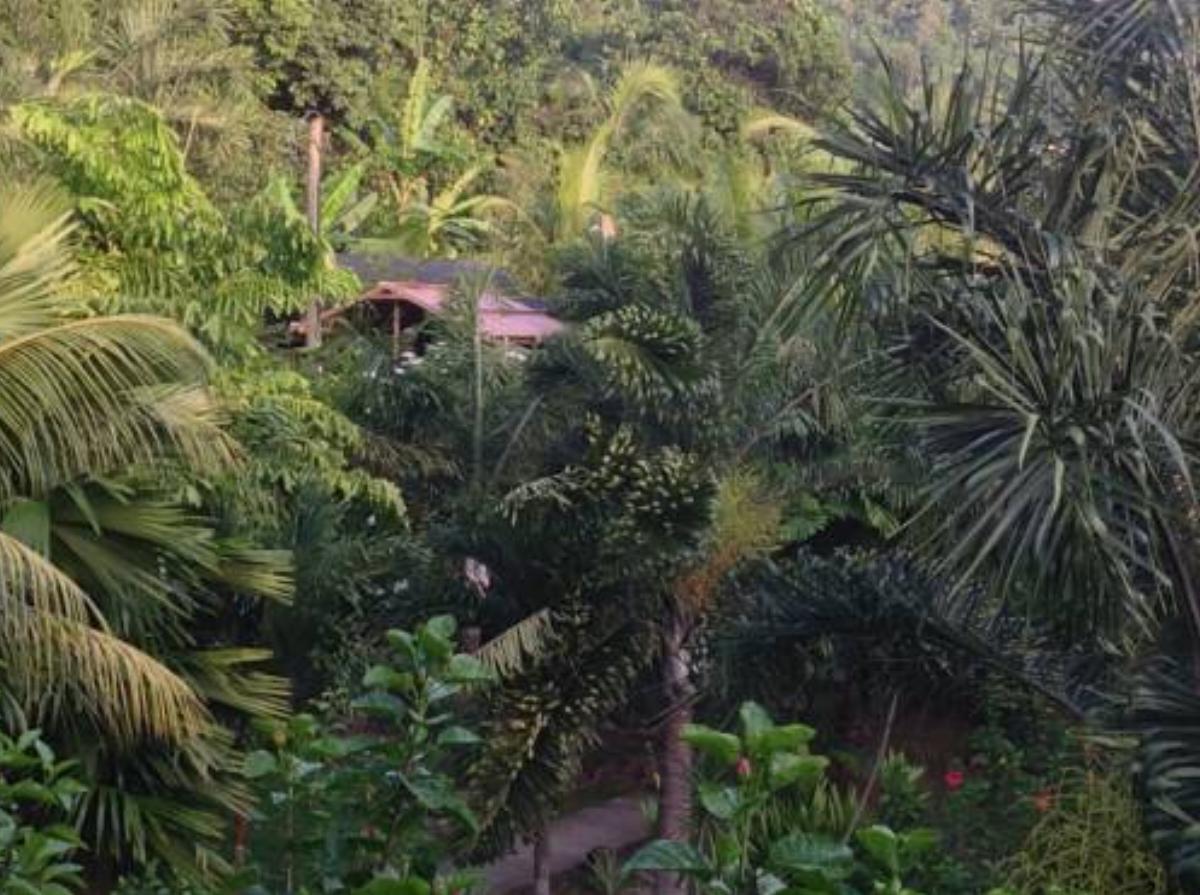 A Peace In Paradise Hotel Anse Boileau Seychelles