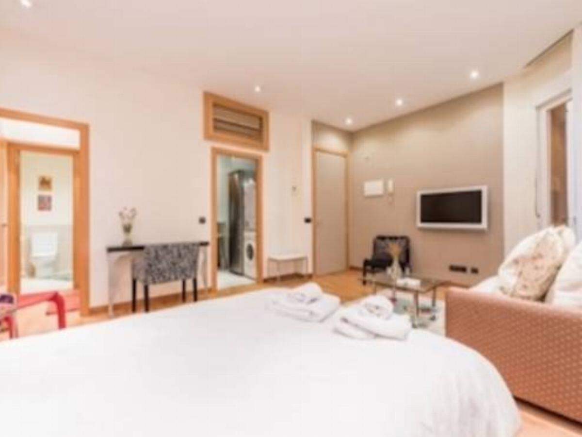 Acogedor y bello apartamento cerca metro Gran Via Hotel Madrid Spain