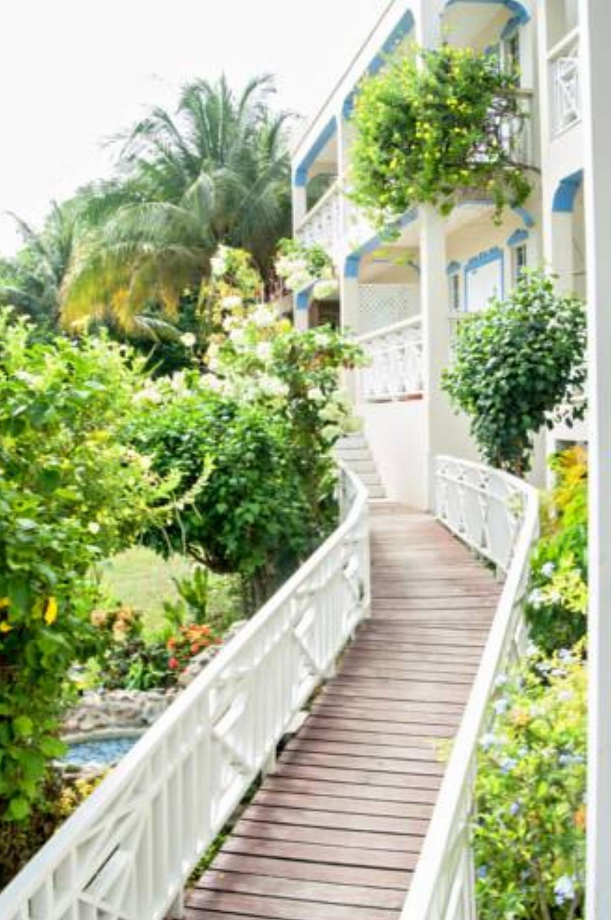 Alizé Inn Hotel Gros Islet Saint Lucia