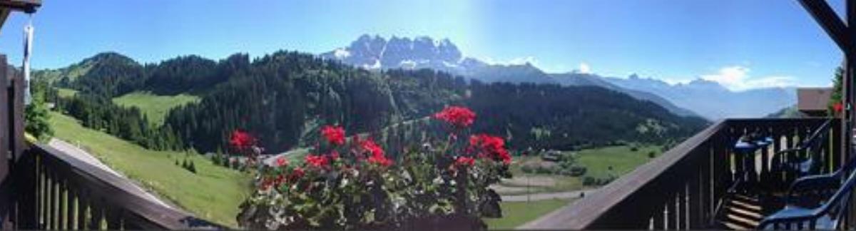Alpage Immo Location Service Hotel Champoussin Switzerland