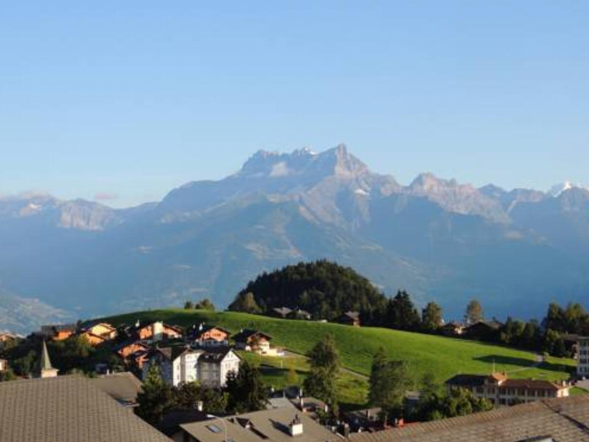 Alpine Classic Hotel Hotel Leysin Switzerland