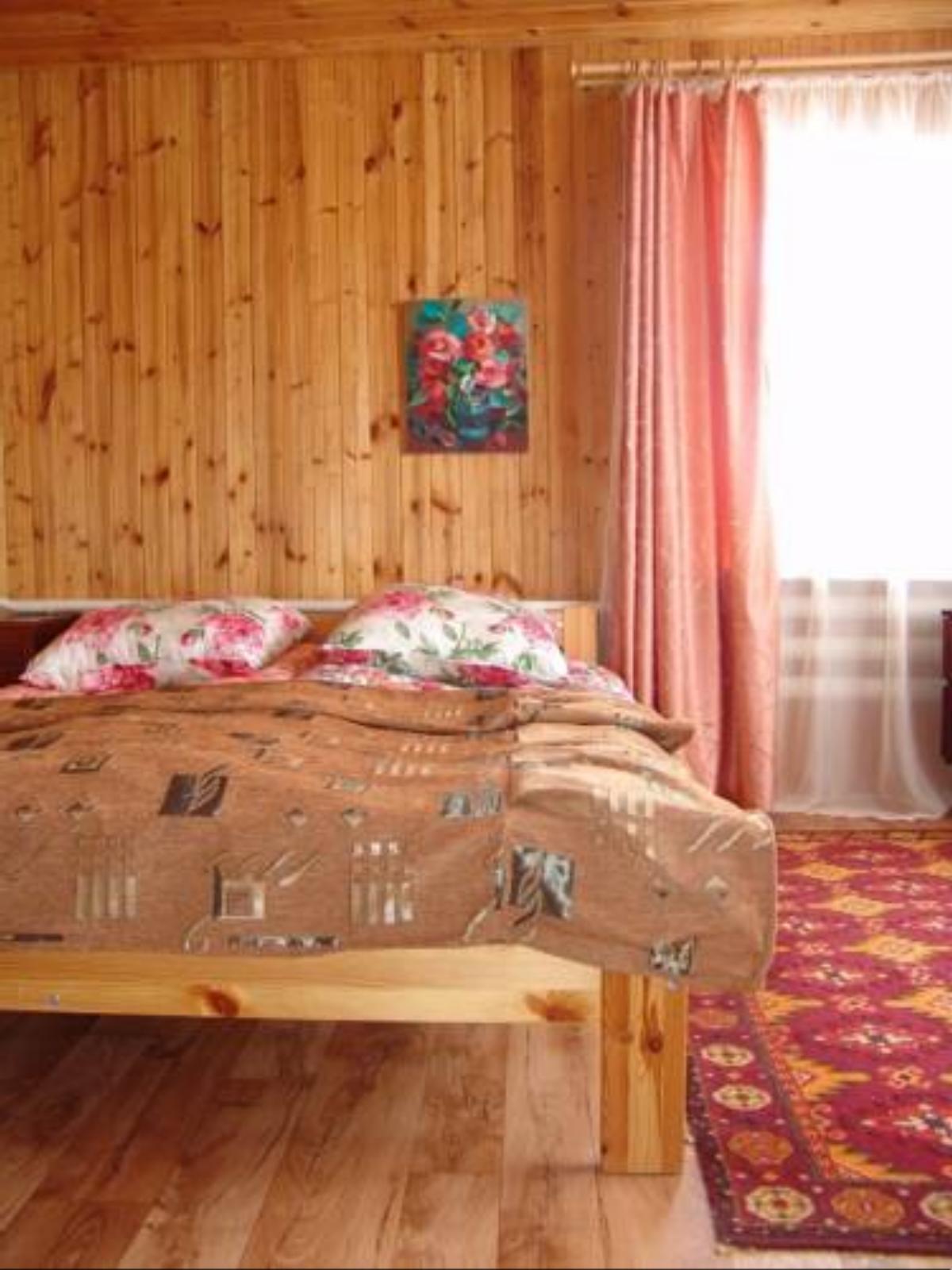 Alyonushka Guest House Hotel Suzdal Russia