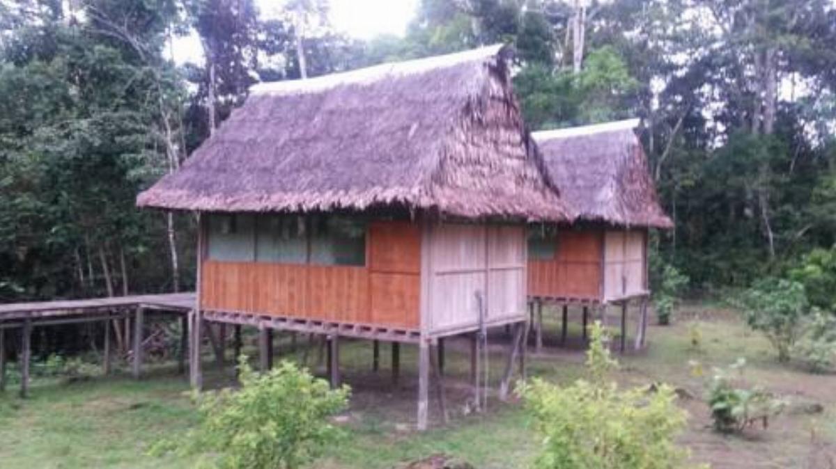 Amazon Eco Tours & Lodge Hotel Iquitos Peru
